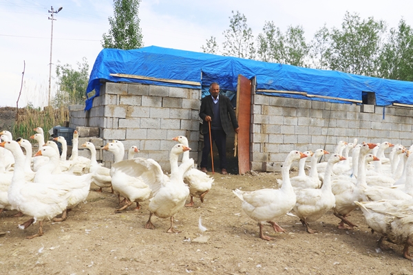 Foto - 40 kazla başladı... Yörenin önde gelen tedarikçilerinden oldu