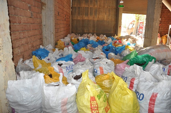 Foto - 40 TL'den 8 TL'ye düştü! Kimse toplamadı dalda kaldı