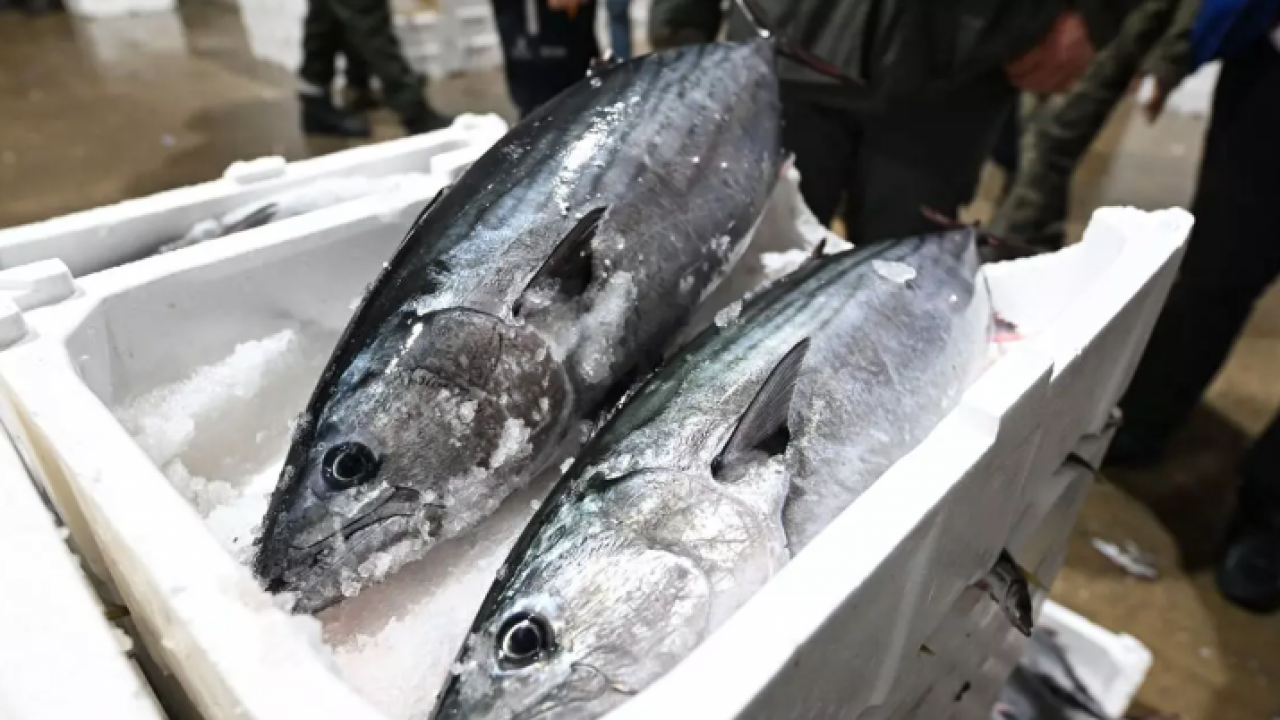 40 yıl sonra raflara döndü: Fiyatlar yarı yarıya düştü!