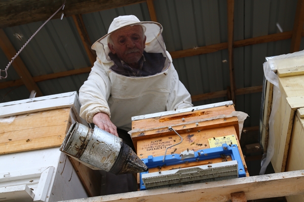 Foto - 40 yıldır bal üreterek 7 çocuk yetiştirdi