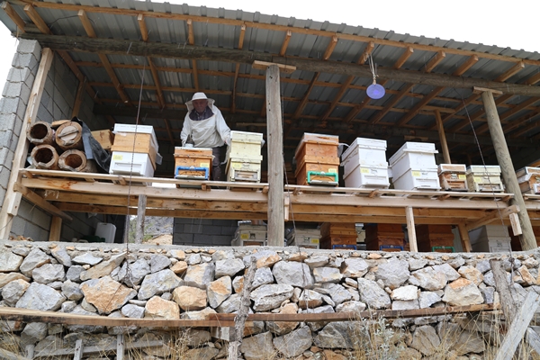 40 yıldır bal üreterek 7 çocuk yetiştirdi