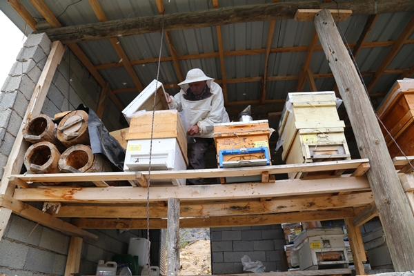 Foto - 40 yıldır bal üreterek 7 çocuk yetiştirdi