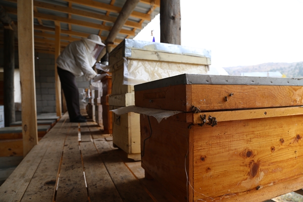 Foto - 40 yıldır bal üreterek 7 çocuk yetiştirdi