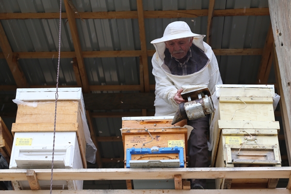 Foto - 40 yıldır bal üreterek 7 çocuk yetiştirdi