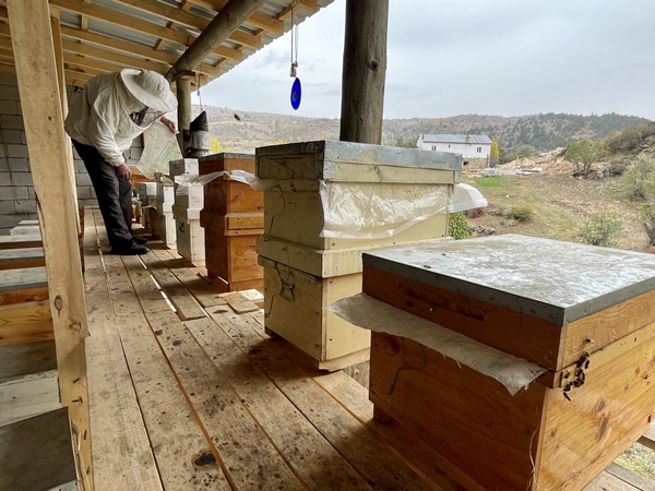 Foto - 40 yıldır bal üreterek 7 çocuk yetiştirdi