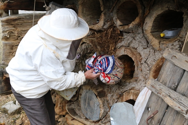 Foto - 40 yıldır bal üreterek 7 çocuk yetiştirdi