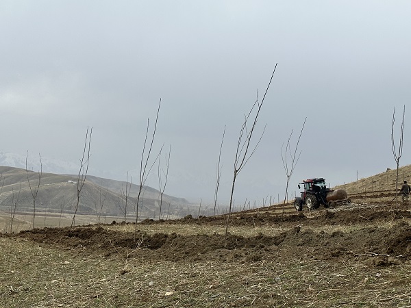 Foto - 40 yıllık hayali gerçek oldu