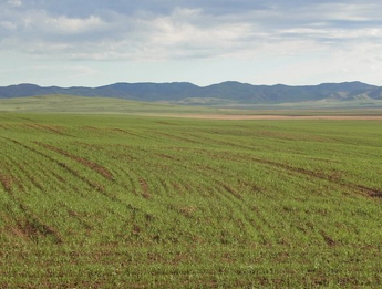 Foto - 405 Kilometrelik eski ve gizemli gibi yer yankı buldu: 'Moğolistan Seddi' ilk kez incelendi