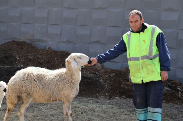 Foto - 42 bin lira maaş, dayalı döşeli ev ve karavan veriyorlar! Yine de bu iş için çalıştıracak kimse bulamıyorlar
