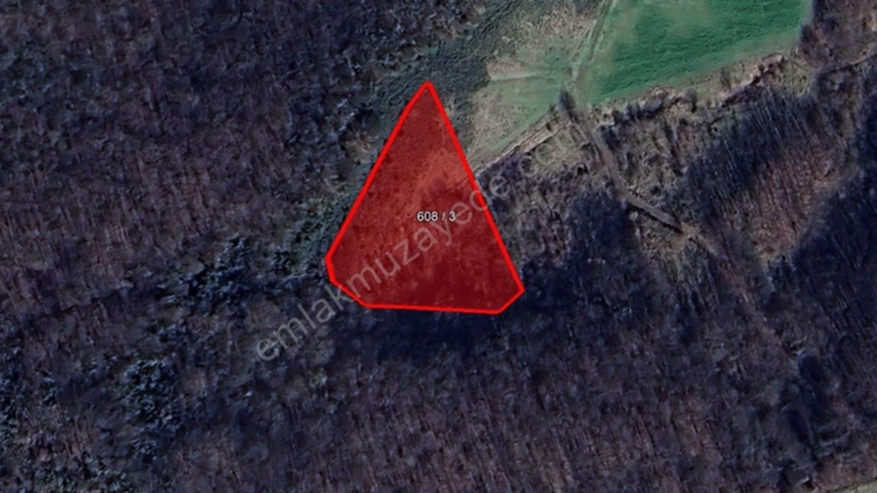 Foto - 43 ilde ucuza arsa satışı başlıyor! İndirim miktarı belli oldu!