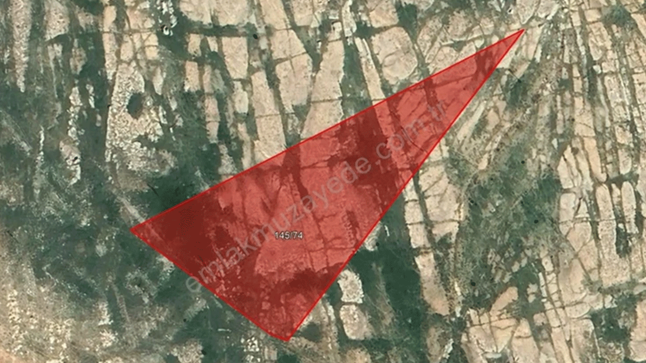 Foto - 43 ilde ucuza arsa satışı başlıyor! İndirim miktarı belli oldu!