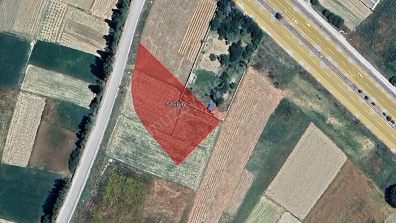 Foto - 43 ilde ucuza arsa satışı başlıyor! İndirim miktarı belli oldu!