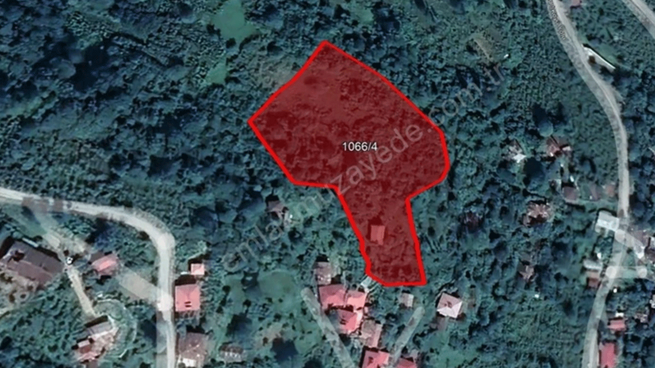 Foto - 43 ilde ucuza arsa satışı başlıyor! İndirim miktarı belli oldu!