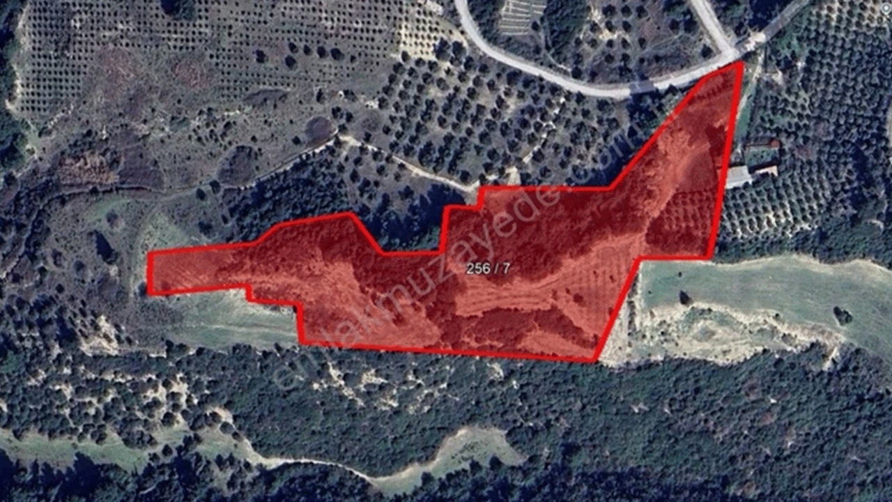 Foto - 43 ilde ucuza arsa satışı başlıyor! İndirim miktarı belli oldu!