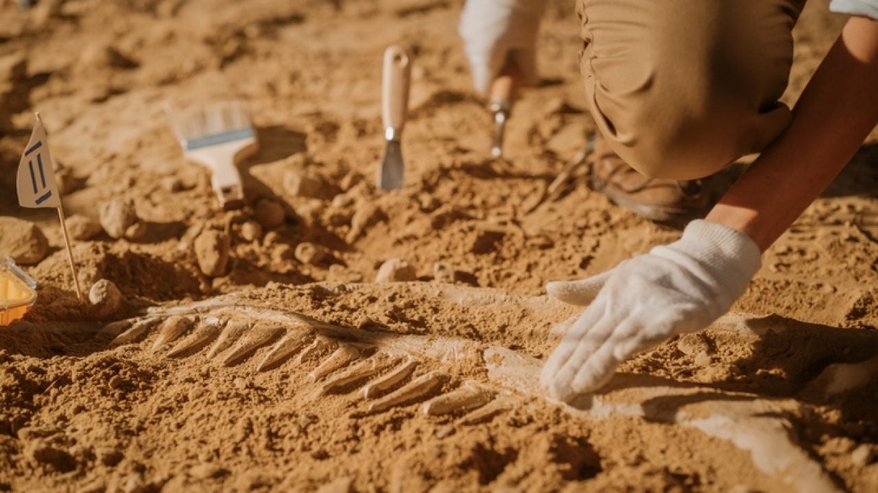 Foto - 443 yıllık sır fırtınayla ortaya çıktı! Kumların altından servet fışkırdı