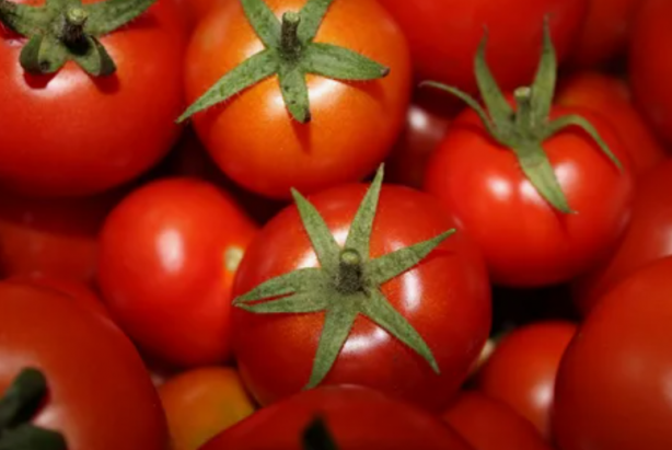 Foto - 45-50 liraya satılan domatesle ilgili akılalmaz talep! Vatandaş çileden çıksa haklı