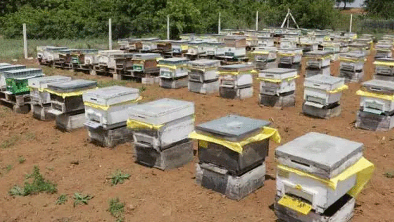 Foto - 47 yıldır bu işi yapıyor...Mesleği kayınpederinden öğrendi!