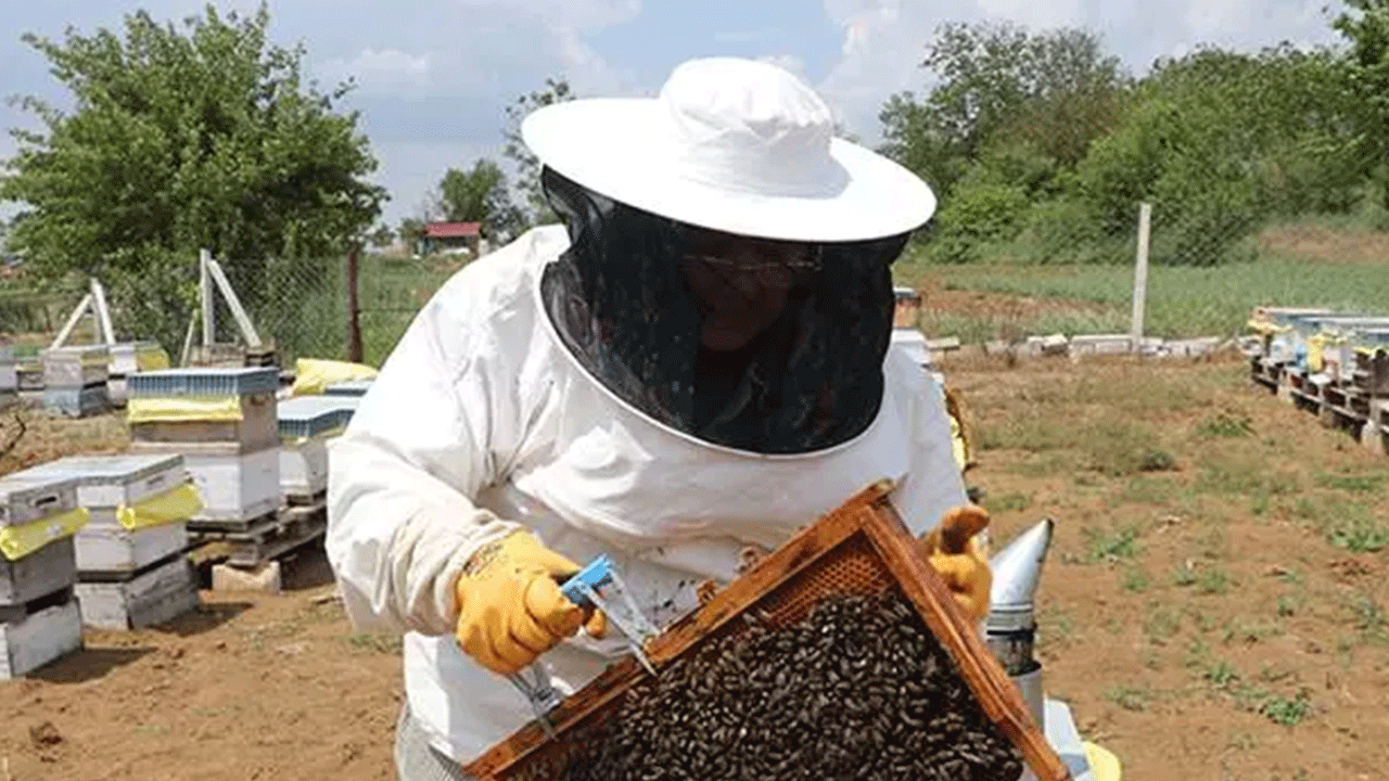47 yıldır bu işi yapıyor...Mesleği kayınpederinden öğrendi!