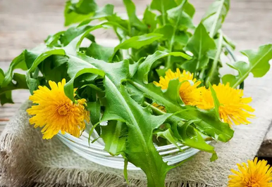 Foto - 48 saatte kanseri yok eden içecekle tanışın: Gören kilo kilo satın alıyor! Yapan bu kez her şeyi değiştirir