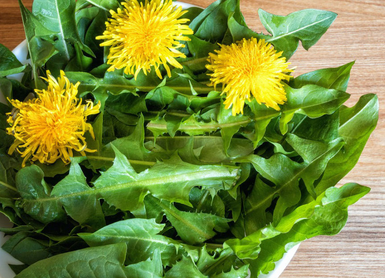 Foto - 48 saatte kanseri yok eden içecekle tanışın: Gören kilo kilo satın alıyor! Yapan bu kez her şeyi değiştirir