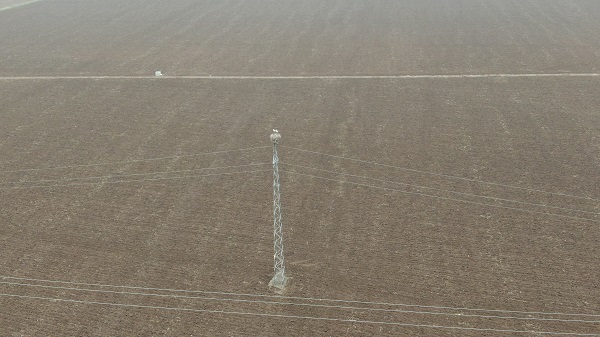 Foto - 5 bin km yol gelerek ata yurduna döndüler