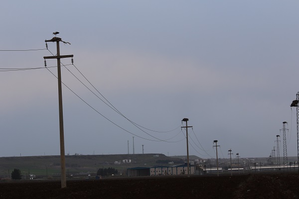 Foto - 5 bin km yol gelerek ata yurduna döndüler