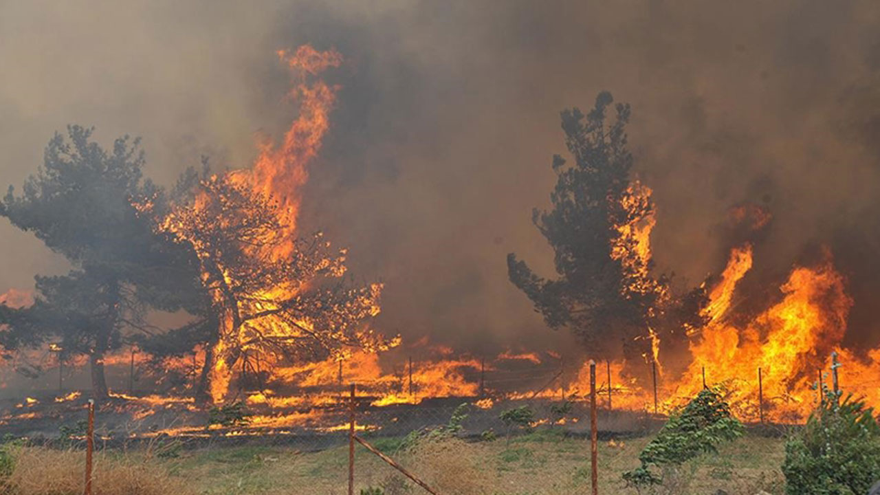 Foto - 5 bin yangının şaşırtan nedeni açıklandı! Ormanlar böyle küle döndü