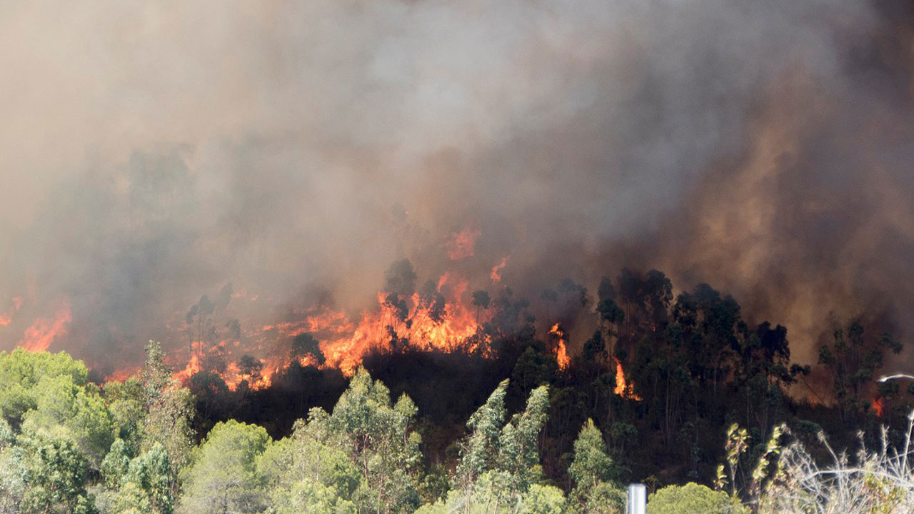 Foto - 5 bin yangının şaşırtan nedeni açıklandı! Ormanlar böyle küle döndü