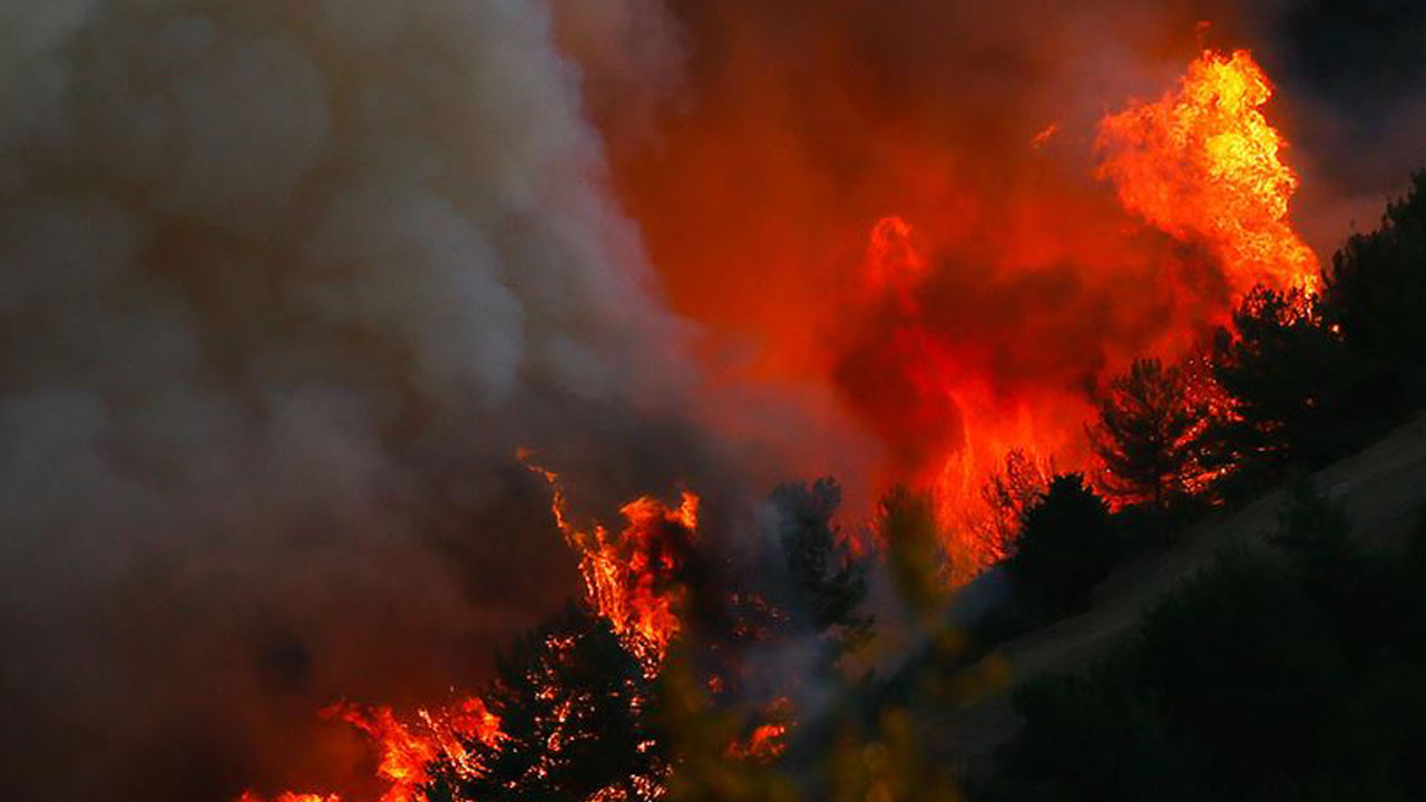 Foto - 5 bin yangının şaşırtan nedeni açıklandı! Ormanlar böyle küle döndü