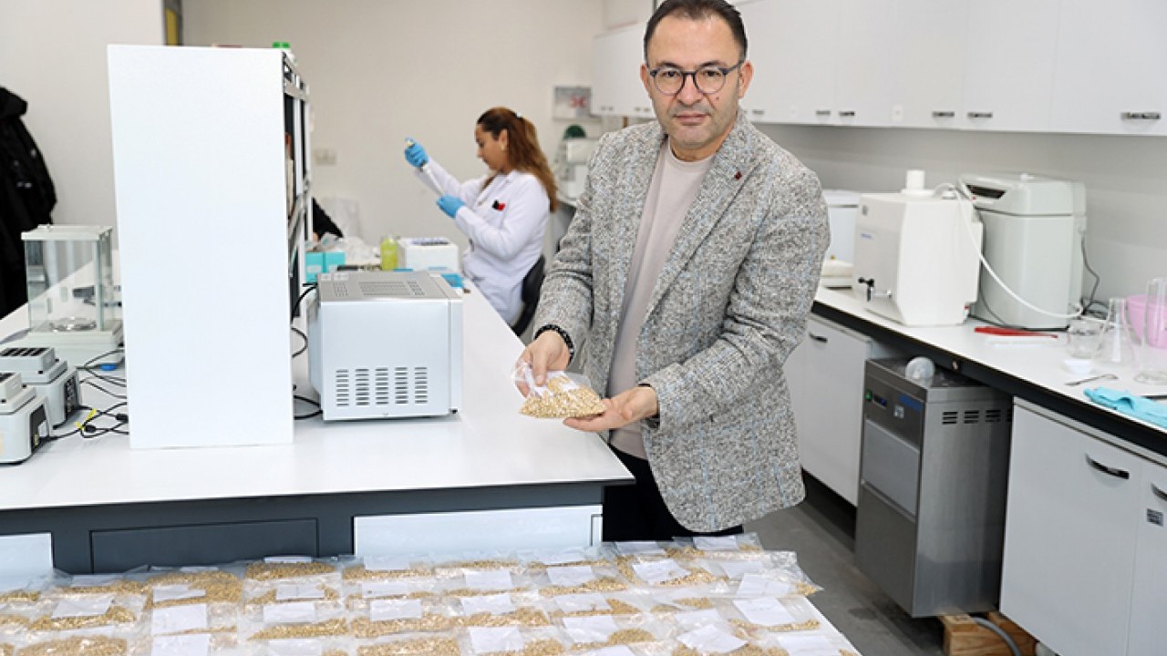 5 Çeşit yerli soya tohumu üretildi