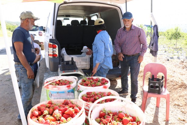 Foto - 5 dönüm ile başlayıp 30 dönüme ulaştılar!