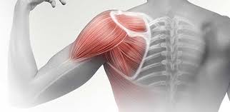 Foto - 5 Hareketle parmağınız size her şeyinizi söylesin: Ortaya çıkan sonuç bakın nasıl! Şaşırtan olay