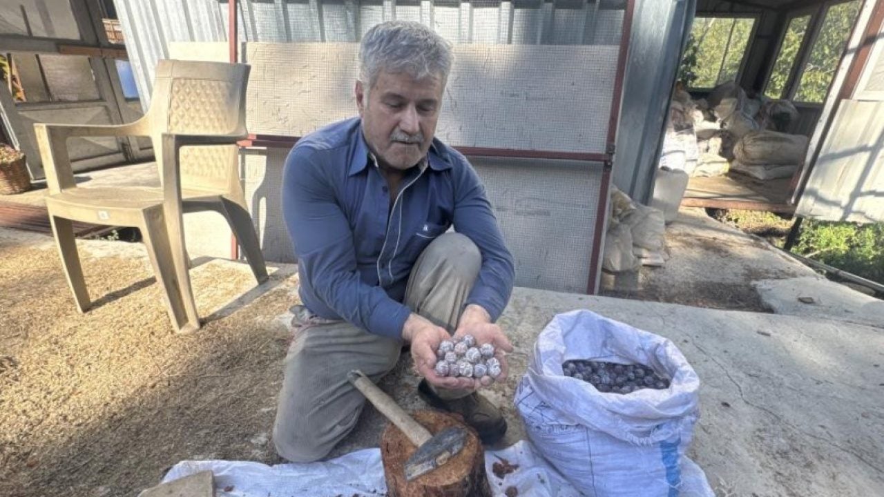 Foto - 5 kilo kozalaktan yalnızca 1 kilo çıkıyor! Bakın bu pekmezin kilosu kaç liradan satılıyor