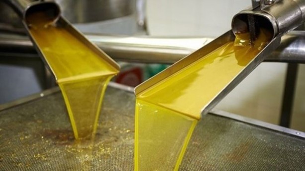 Foto - 5 litresi 1500 liraya yaklaşmıştı! Türkiye'nin stoklarında bulunan zeytinyağı miktarı herkesi şok etti