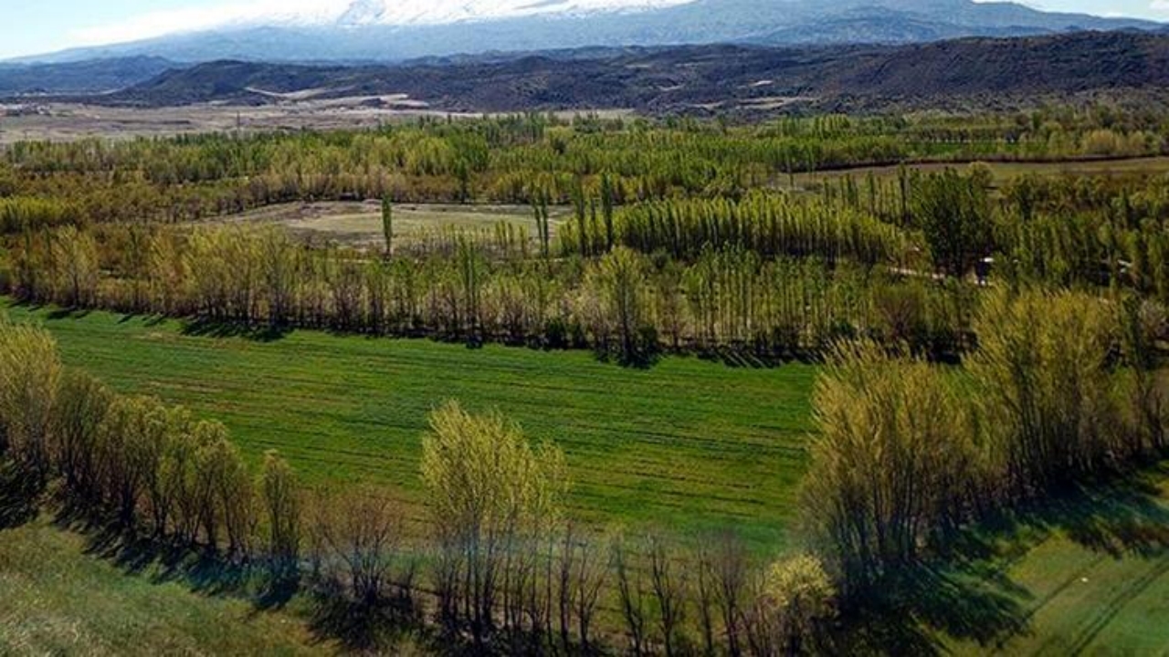 Foto - 5 milyon kişiye tapu verilecek! İşte düzenlemeden en çok yararlanacak 9 ilimiz