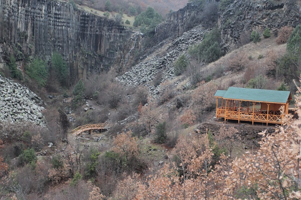 Foto - 5 milyon yıl yaşında! Dünyada sadece Türkiye'de var