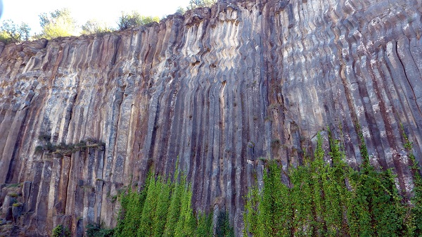 Foto - 5 milyon yıl yaşında! Dünyada sadece Türkiye'de var
