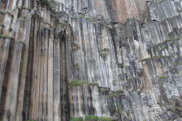 Foto - 5 milyon yıl yaşında! Dünyada sadece Türkiye'de var