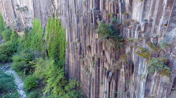 Foto - 5 milyon yıl yaşında! Dünyada sadece Türkiye'de var