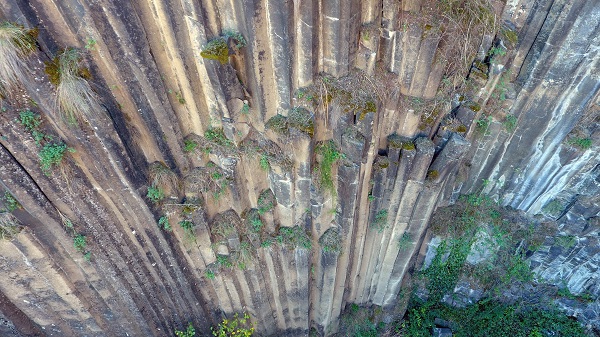 Foto - 5 milyon yıl yaşında! Dünyada sadece Türkiye'de var