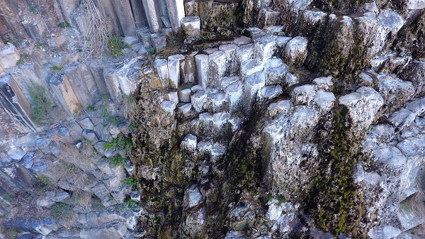 5 milyon yıl yaşında! Dünyada sadece Türkiye'de var