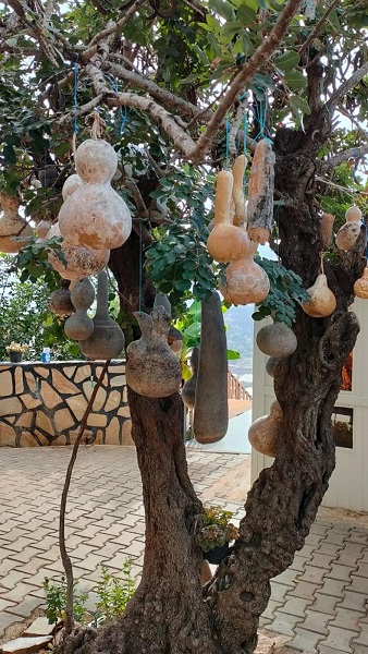 Foto - 5 milyon yıldır sıcaklığı değişmiyor!