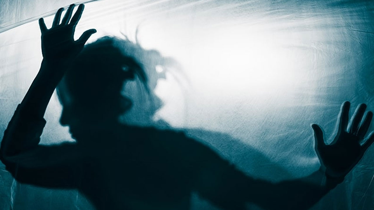 5 yıl önce babaannesini baltayla öldürmüştü! Şizofreni hastası kadından kanlı bir saldırı daha