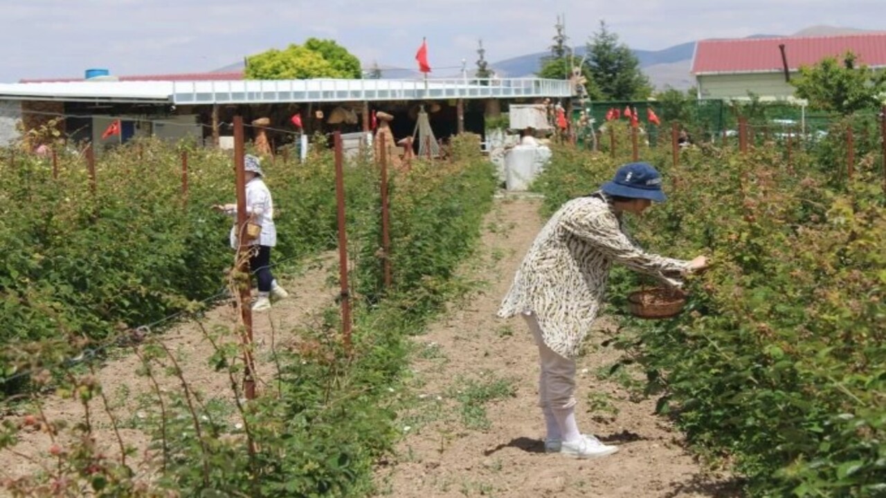 Foto - 5 yıl önce hobi olarak başlamıştı! Şimdi paraya para demiyor