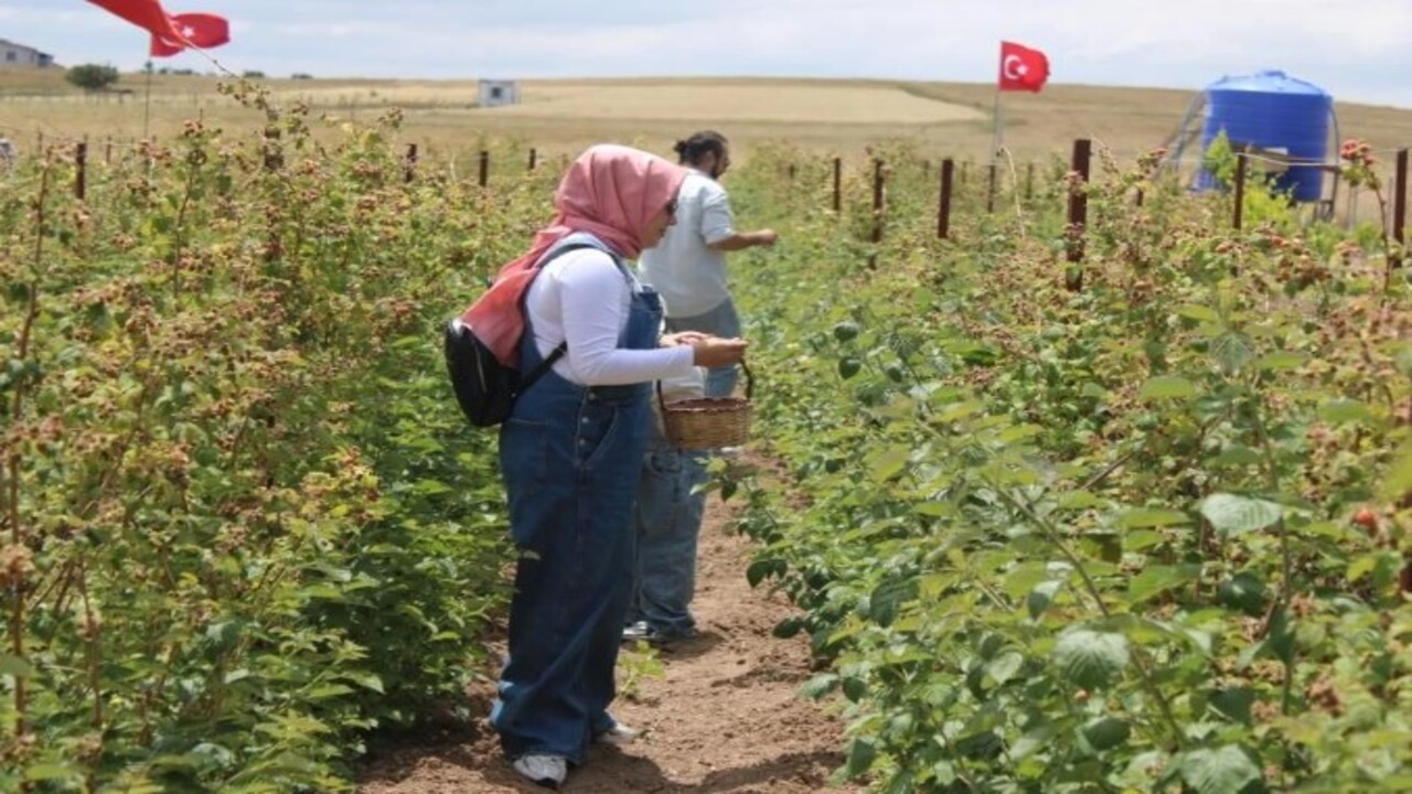 Foto - 5 yıl önce hobi olarak başlamıştı! Şimdi paraya para demiyor