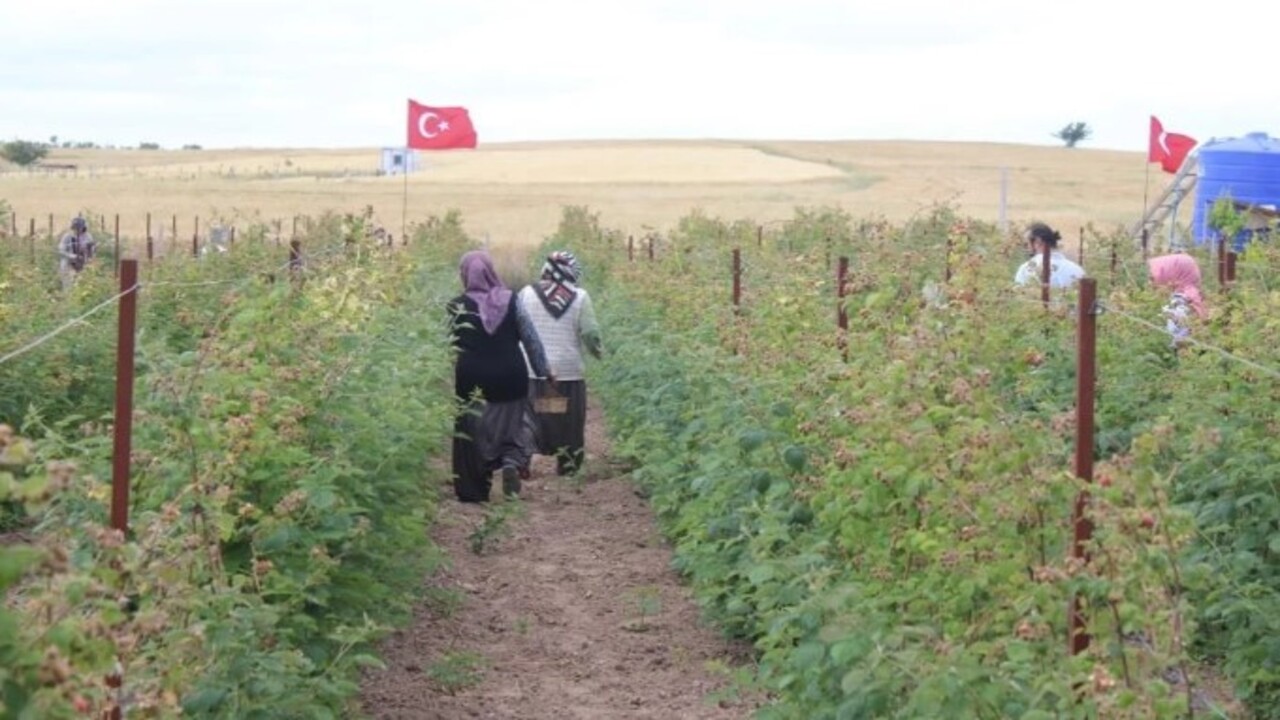 Foto - 5 yıl önce hobi olarak başlamıştı! Şimdi paraya para demiyor