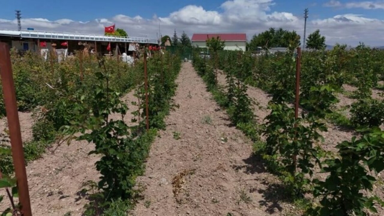 Foto - 5 yıl önce hobi olarak başlamıştı! Şimdi paraya para demiyor