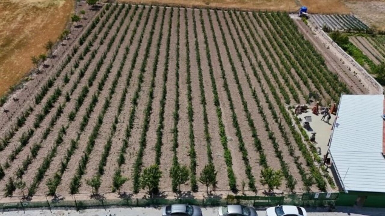 Foto - 5 yıl önce hobi olarak başlamıştı! Şimdi paraya para demiyor