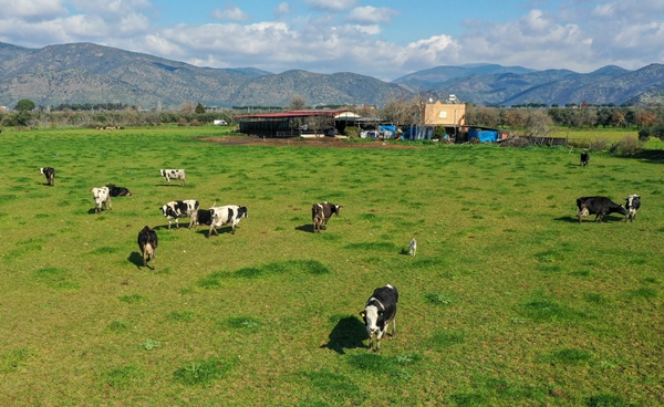 Foto - 5 yıldızlı otelleri bırakıp yerleştiği köyde doğal ürünler üretiyor