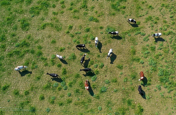 Foto - 5 yıldızlı otelleri bırakıp yerleştiği köyde doğal ürünler üretiyor